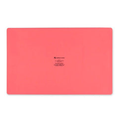 Pokémon Playful Partners Silicone Mat